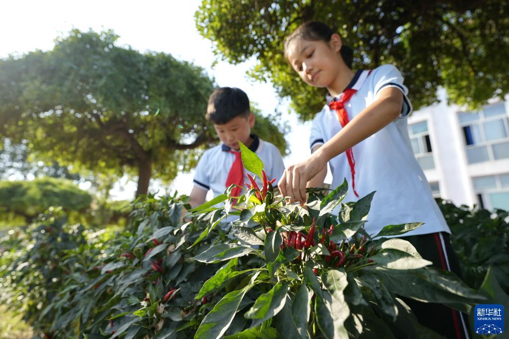 蓝鼎娱乐